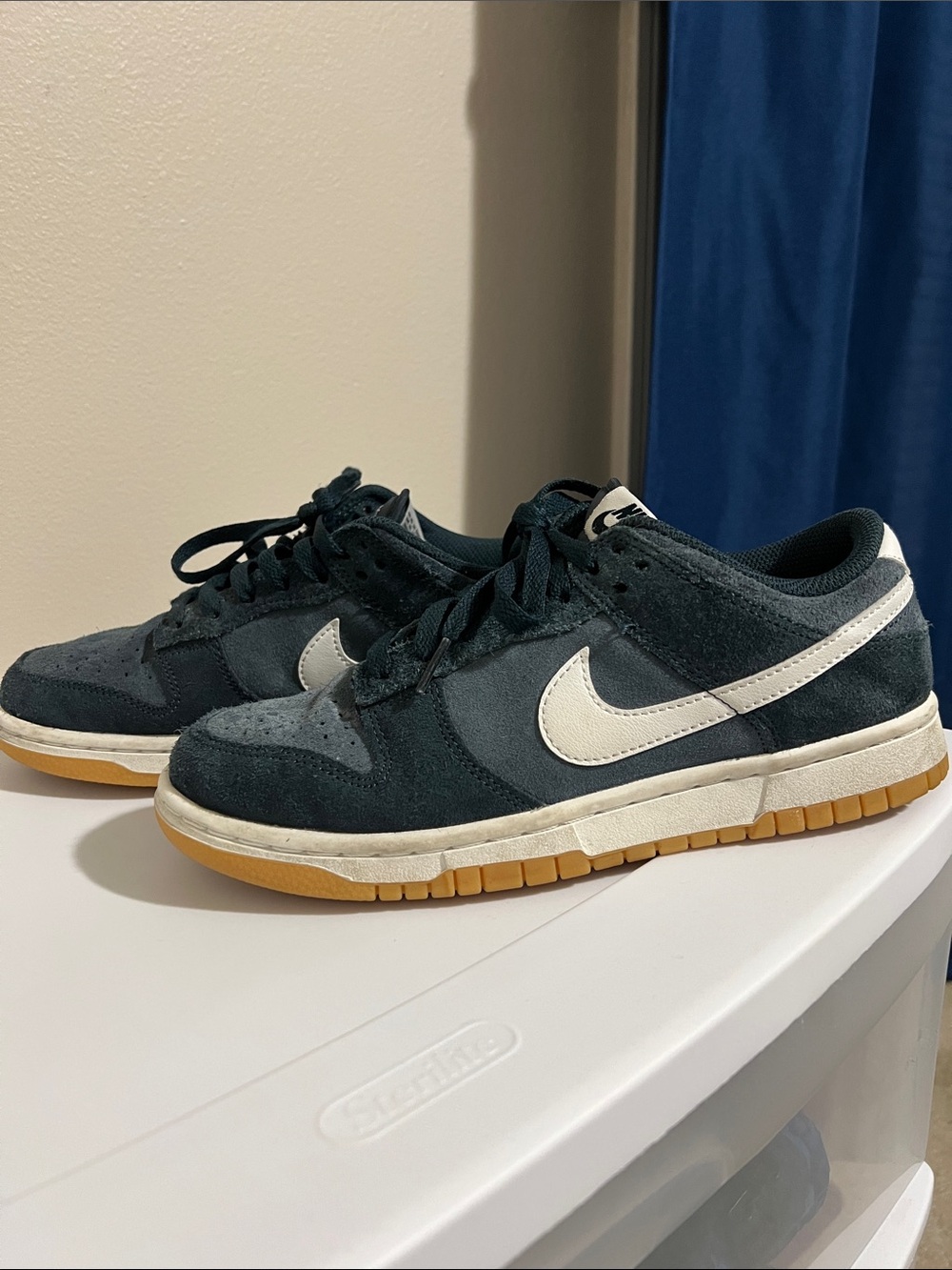 Nike Men’s dunk Dark Teal Suede Low-Top Sneakers with White Swoosh